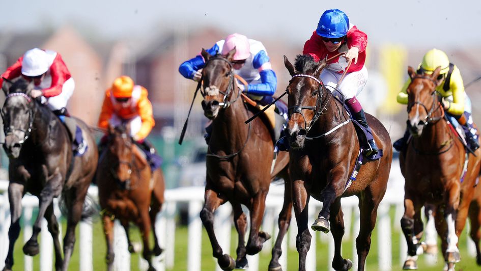 Consecrated wins at Newbury