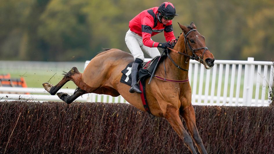 Ahoy Senor wins impressively at Newbury