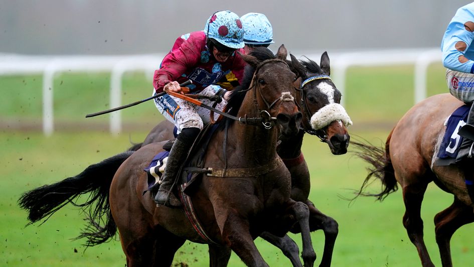Gaye Legacy wins at Newbury