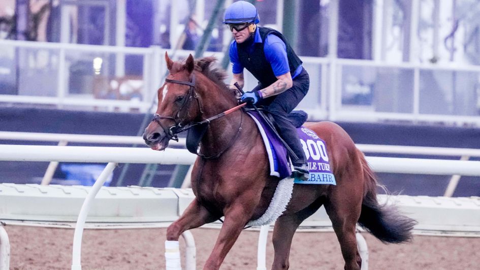 Kieren Fallon exercises Albahr at Del Mar (image courtesy of Breeders' Cup)