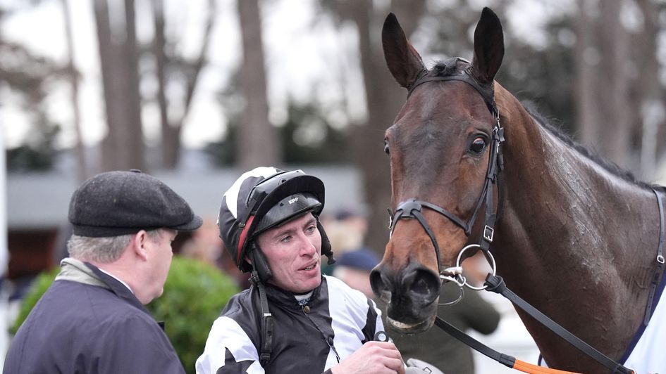 Romeo Coolio after his last-gasp Leopardstown win