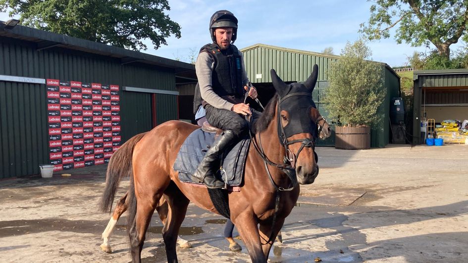 Allmankind at the Dan Skelton yard