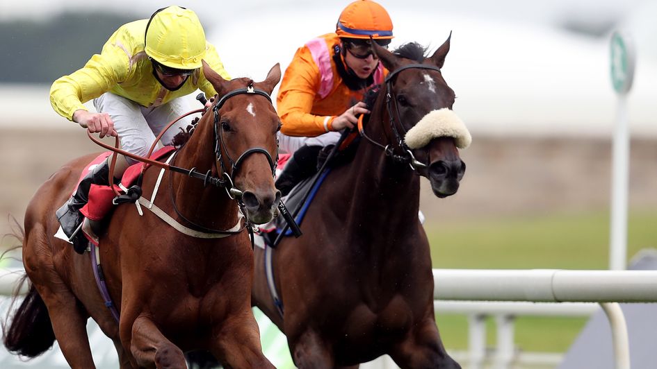 Rajinsky (far side) can go one better in the stayers' handicap at York