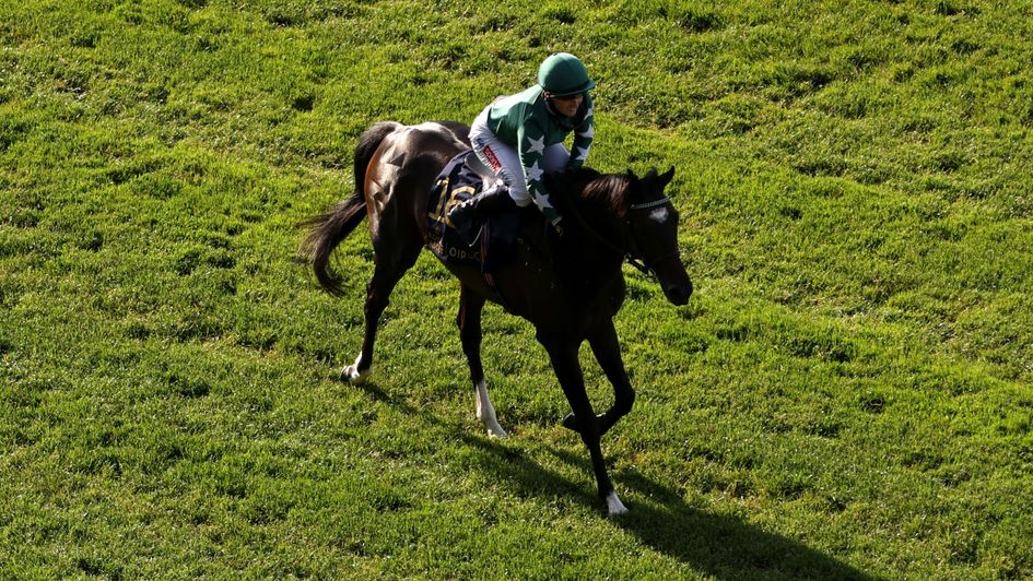 Hollie Doyle and Amtiyaz won at Ascot