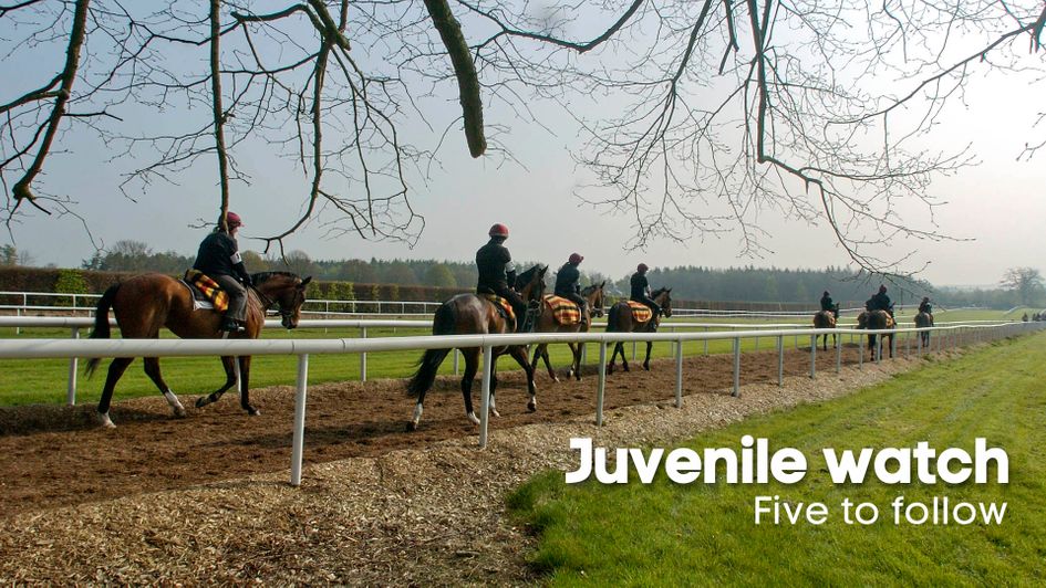 Five juveniles to follow