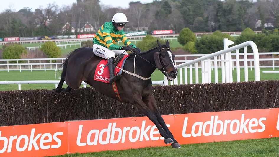 Kaid D'authie ridden by Mark Walsh goes on to win the Ladbrokes Novice Chase at Leopardstown