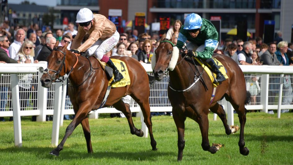 Thunderbear (right) battles to victory at Newbury