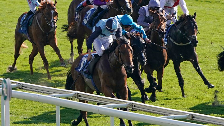 Alligator Alley wins the Roses Stakes at York