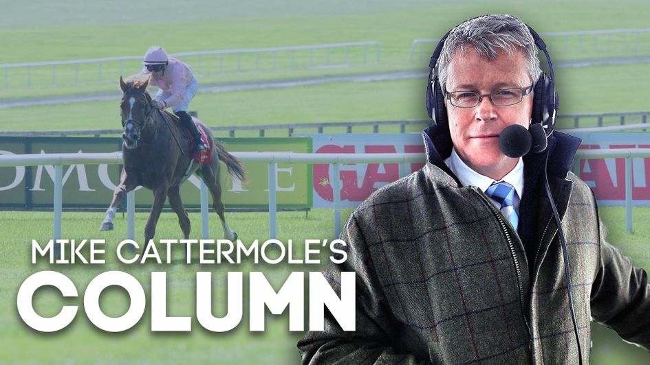 Mike Cattermole reflects on a bizarre Irish Derby