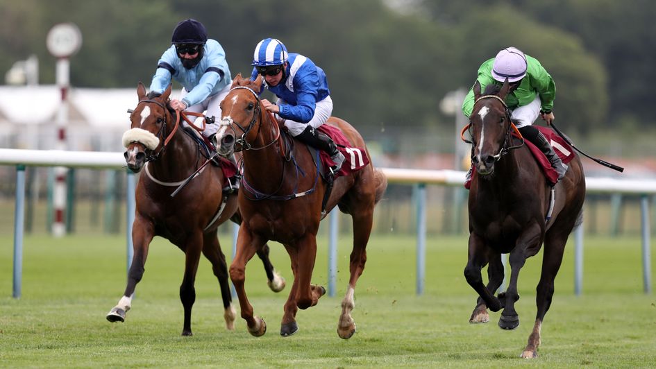 Brad The Brief (right) ridden by Richard Kingscote wins the betyourway At Betway Handicap at Haydock Park