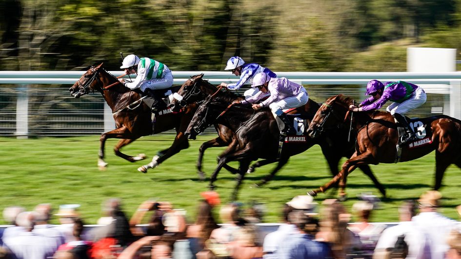 Accordance stays on best to win the fillies' maiden at Goodwood