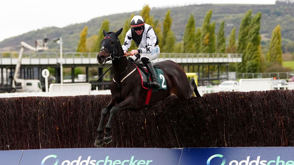 Bowensonfire on his way to victory at Cheltenham