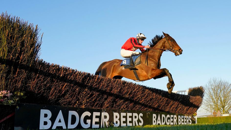 El Paso Wood in action at Wincanton