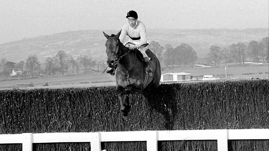 Arkle - one of the equine stars of 1966