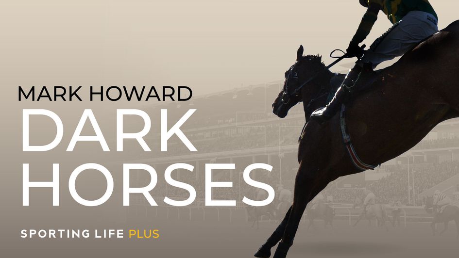Mark Howard Cheltenham Festival Dark Horses