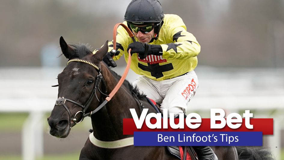 Harambe looks a big price to follow up his Cheltenham success