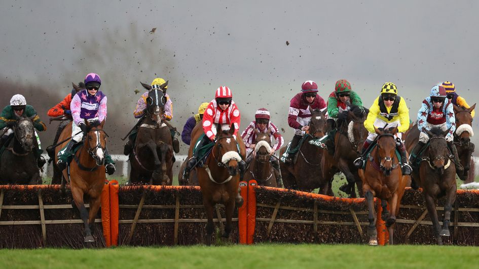 The County Hurdle field on Gold Cup day