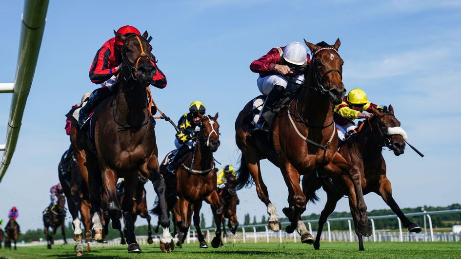 Rage Of Bamby - won the Sky Bet Dash