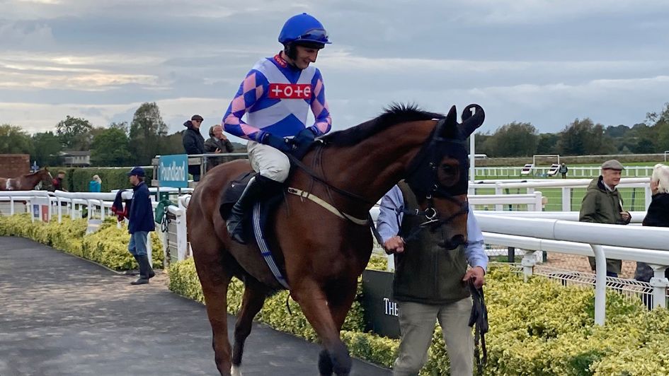 Nickle Back won the novices' handicap chase at Warwick