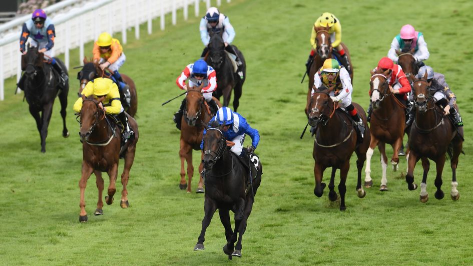 Khaadem streaks clear to win the Stewards' Cup