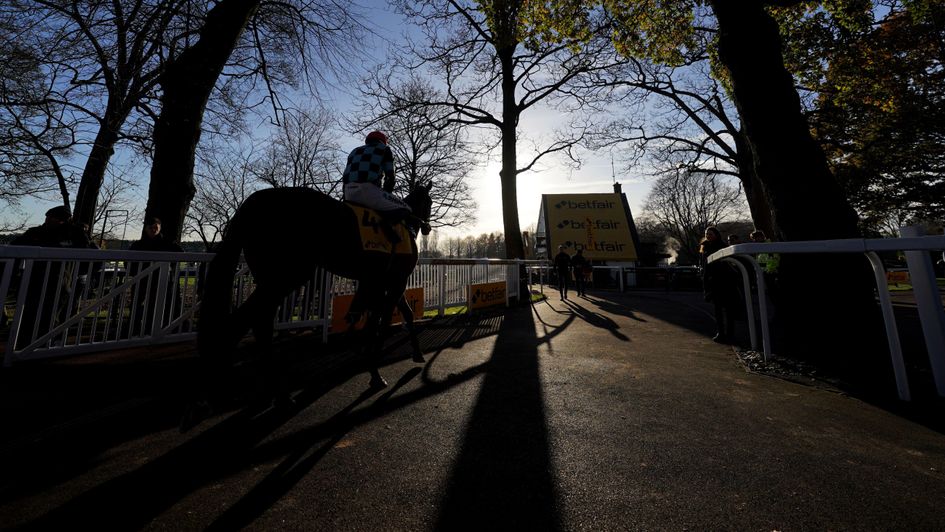 Haydock witnessed another Betfair Chase day