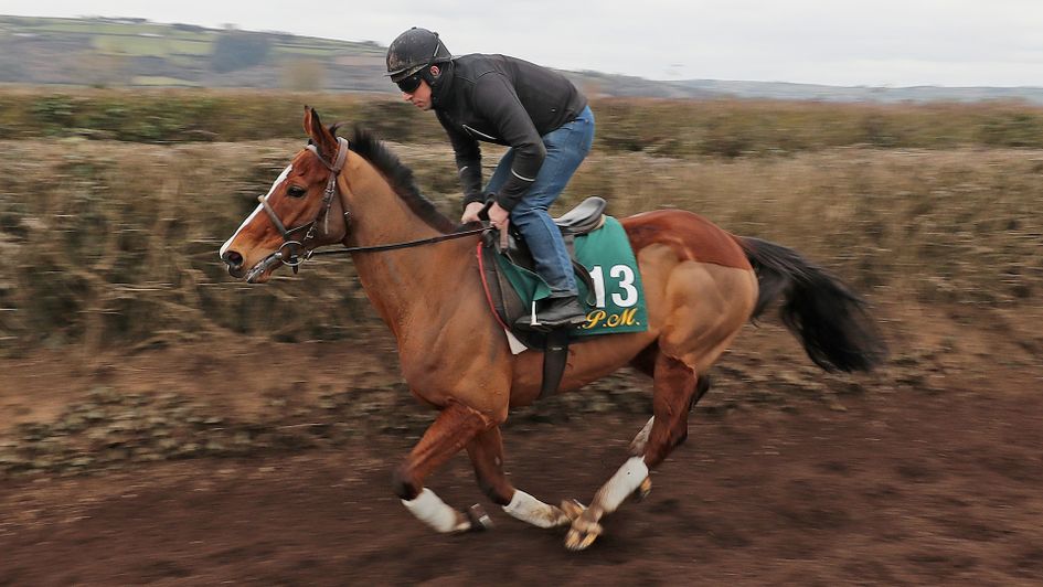 Faugheen comes up the gallops