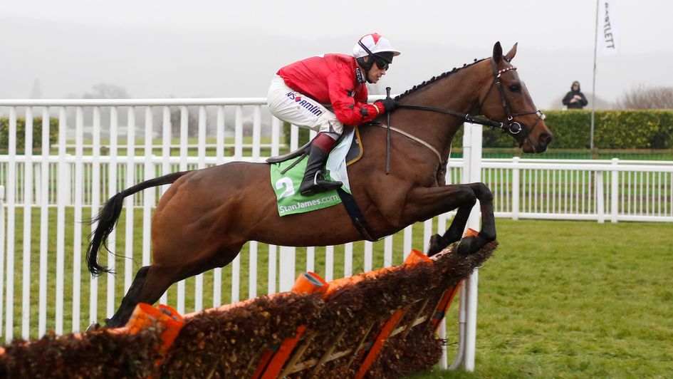 The New One: Stayers' Hurdle contender?