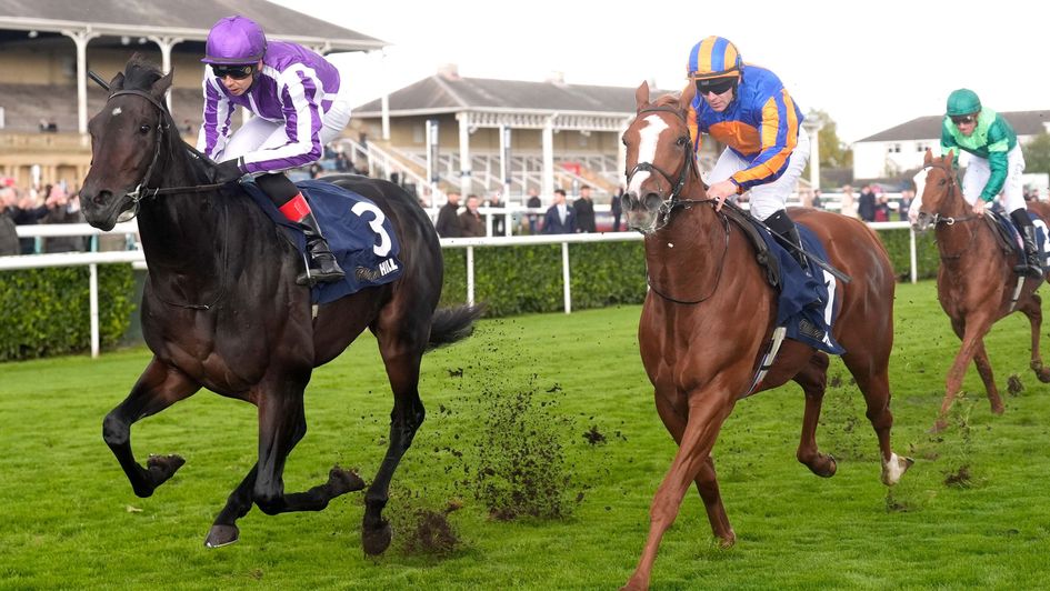 Hawk Mountain beats Action to win the Futurity