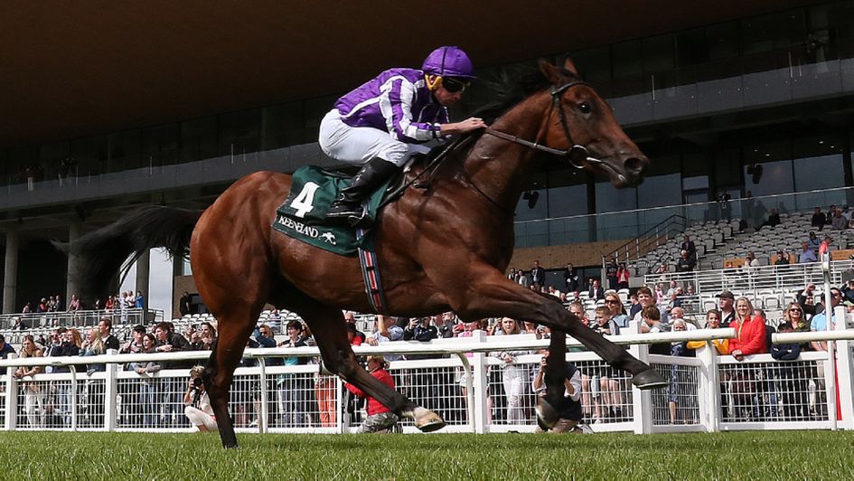 Little Big Bear posted a big figure in the Phoenix Stakes