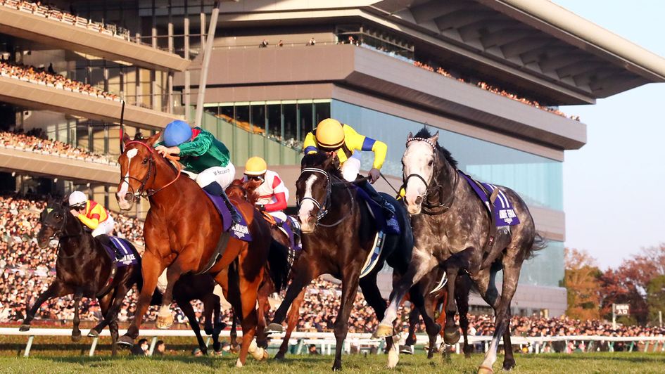 Calandagan beats Masquerade Ball (right) in the Japan Cup: Copyright of the Japan Racing Association (JRA)