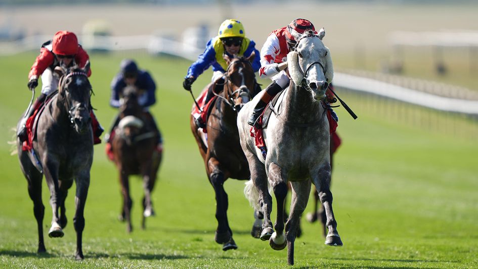 Billyjoh wins the Betfred 'Nifty 50' Handicap