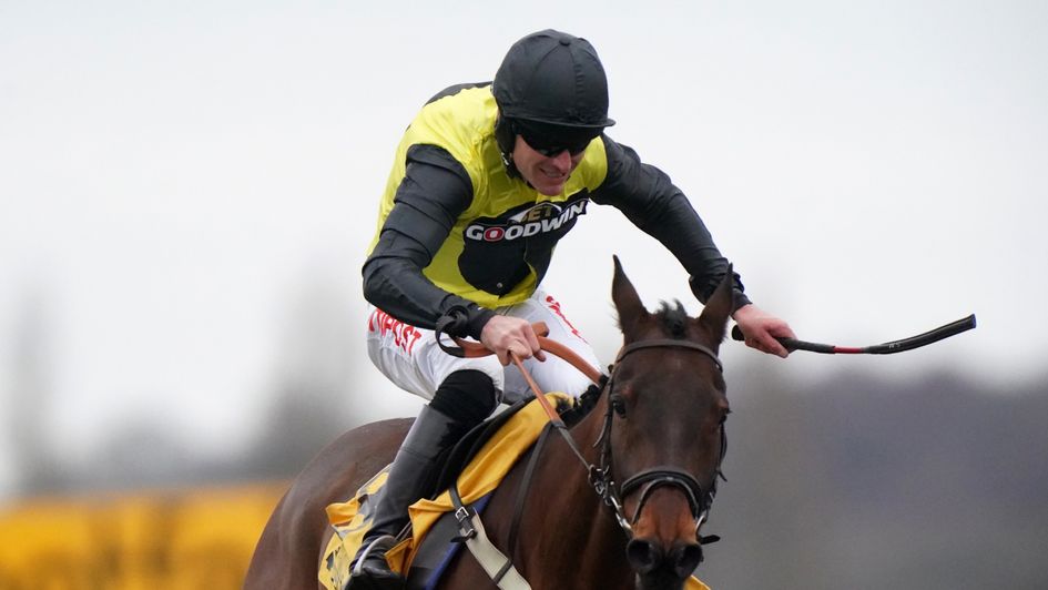 Aucunrisque battles to victory in the Betfair Hurdle
