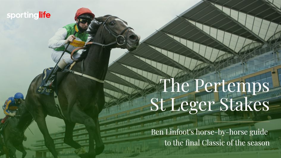 Pyledriver can storm to St Leger success