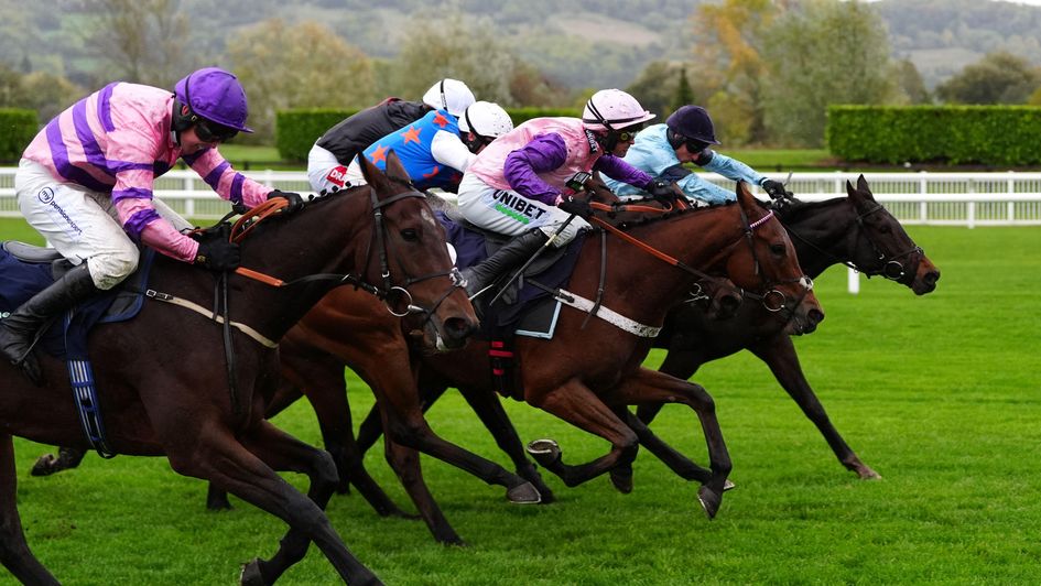 The leaders head for home in the Oddschecker Novices' Hurdle