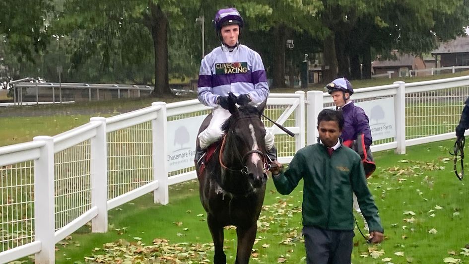Navy Jack after winning at Sandown