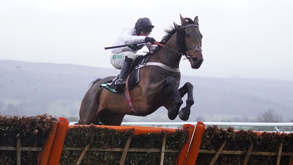 Brain Power jumps to victory in the Unibet International Hurdle