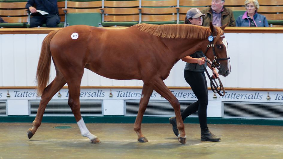 Lot 492 - secured by Shadwell