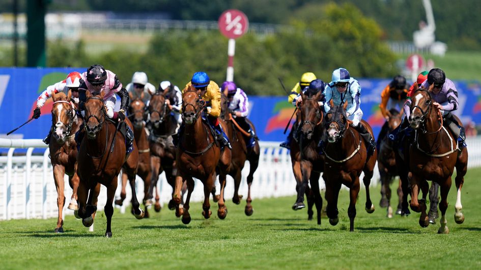 Toimy Sun wins the Golden Mile