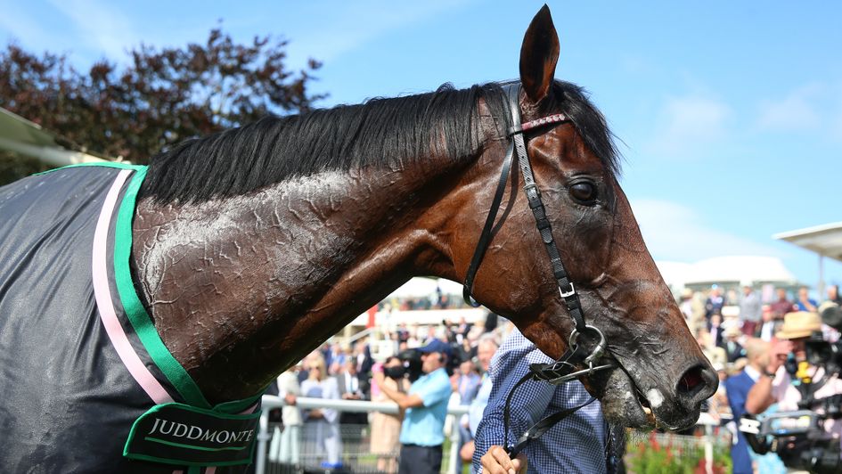 Mishriff was imperious on the Knavesmire