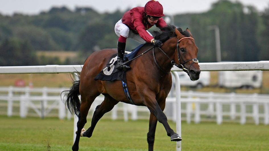 Darain stretches clear at Newbury