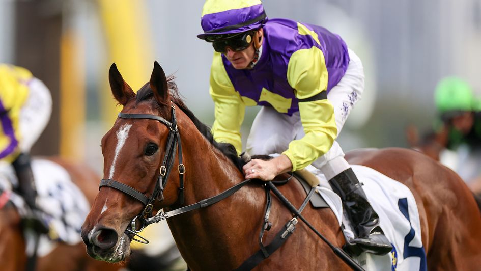 Zac Purton and Colourful King