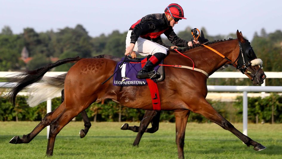 Peregrine Run - ground ideal on Saturday