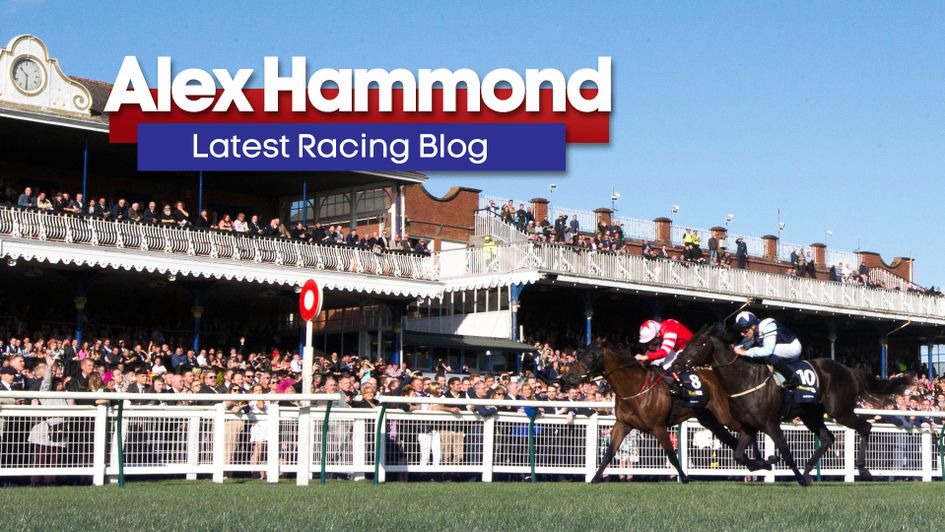 Last year's Ayr Gold Cup was shared - don't miss Alex Hammond's thoughts this time