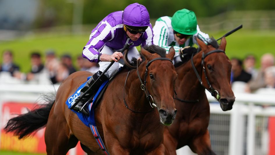 Sun Goddess is in top in the Airlie Stud Stakes