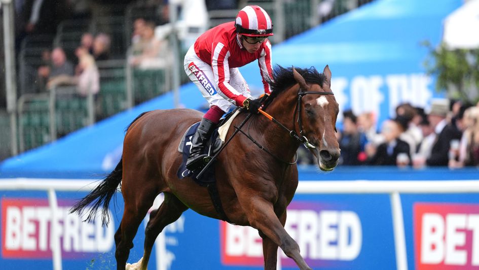 Bay City Roller is out on his own in the Coronation Cup