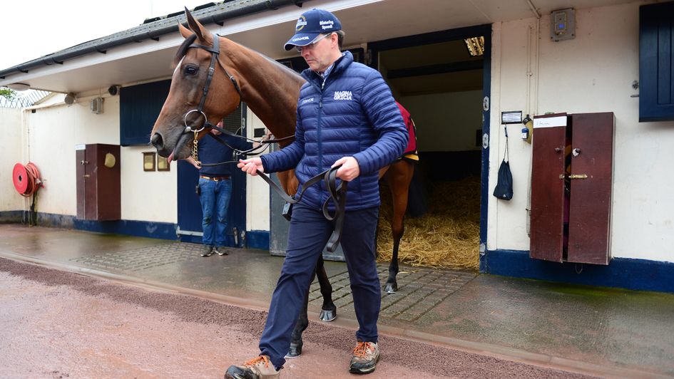 Aidan O'Brien with star mare Magical