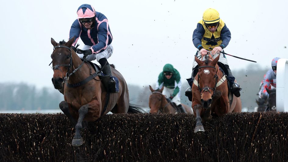 Highlands Legacy (left) and Torneo jumps the last together