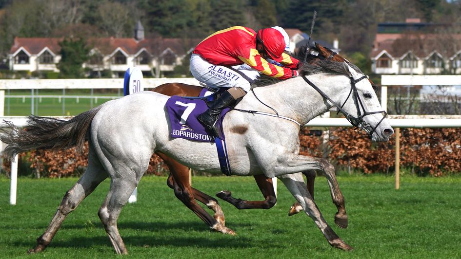 White Birch wins the Ballysax