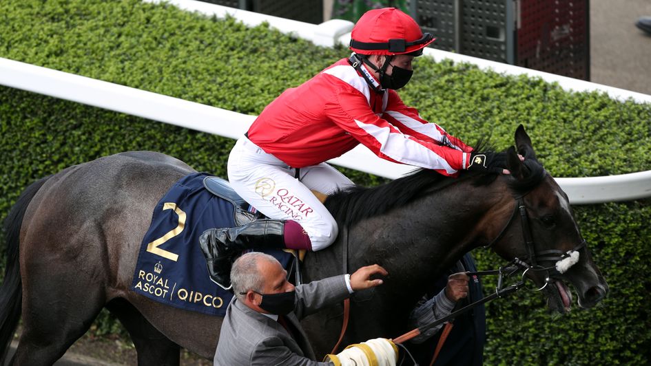 Berkshire Shadow impresses in the Coventry Stakes