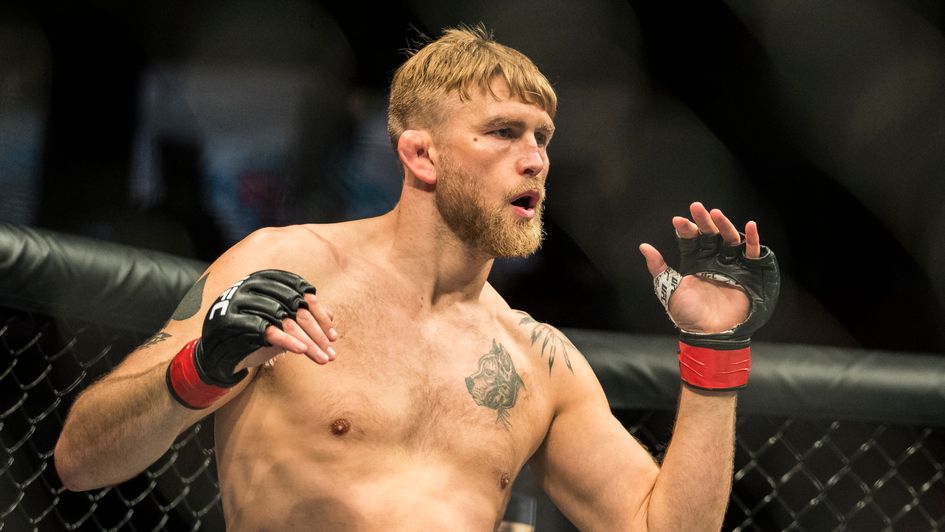Alexander Gustafsson should see off Fabricio Werdum